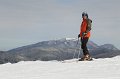 IMG_0529