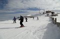 IMG_0531