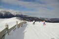 IMG_0533