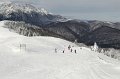 IMG_0535