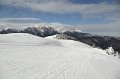 IMG_0539