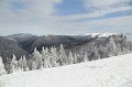 IMG_0543