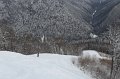 IMG_0545