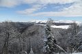 IMG_0547