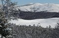 IMG_0550