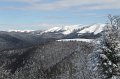 IMG_0551