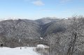 IMG_0552
