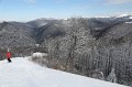 IMG_0555
