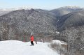IMG_0557