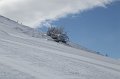 IMG_0558