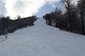 IMG_0559