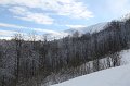 IMG_0560