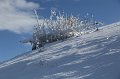 IMG_0569