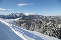 IMG_0571