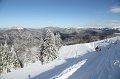 IMG_0572