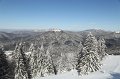 IMG_0574