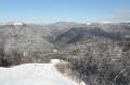 IMG_0583