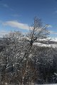 IMG_0584