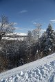 IMG_0585