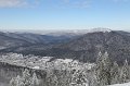 IMG_0589