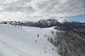 IMG_0590