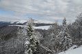 IMG_0592