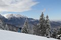 IMG_0594