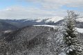 IMG_0596