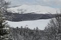 IMG_0597