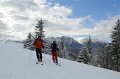 IMG_0617