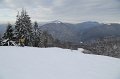 IMG_0636