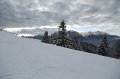 IMG_0638