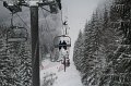 IMG_0343